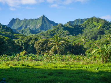 Rarotonga