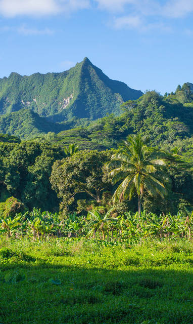 Rarotonga