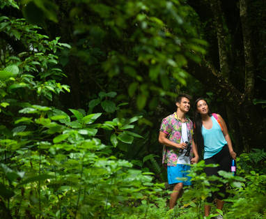 Birdwatching on Atiu Island