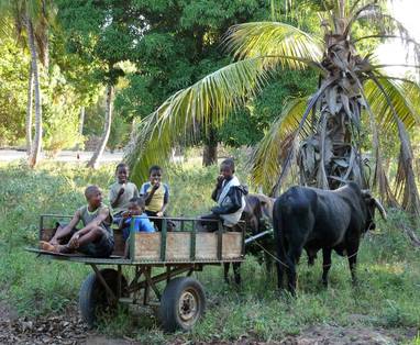 Children_with_a_cart