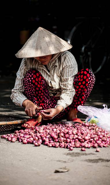 v2osk-N028PITAESc-unsplash