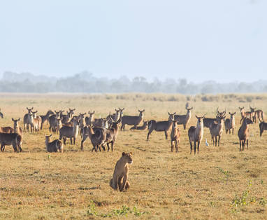 Michael_dos_Santos_2