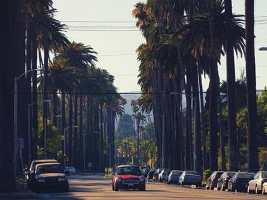 hollywood