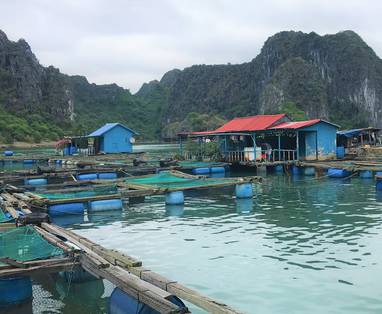 Vissersdorp_Halong_Bay_(Lisanne)_(2)