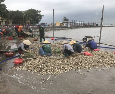 Ha_Long_Bay_(Lisanne)