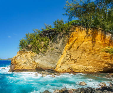 sud_sauvage91_cap_jaune_-_CREDIT_IRT_-_bruno_tandrya_dts_06_2018