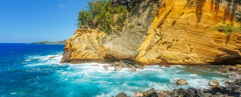 sud_sauvage91_cap_jaune_-_CREDIT_IRT_-_bruno_tandrya_dts_06_2018