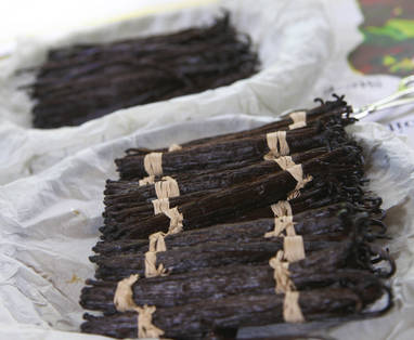 vanille02_-_CREDIT_IRT_-_emmanuel_virin