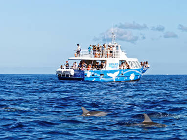 sports_nautiques46_grand_bleu_dauphins_-_CREDIT_IRT_-_stephane_michel_dts_07_2020