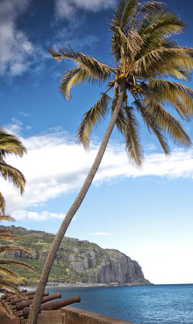 saint_denis05_canons_barachois_-_CREDIT_IRT_-_cedric_etienne