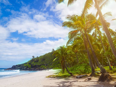 petite_ile12_plage_de_grand_anse_-_CREDIT_IRT_-_bruno_tandrya_dts_06_2018