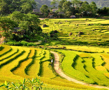 VN_Thanh_Lam_Puluong_retreat_Vietnam_landscape16