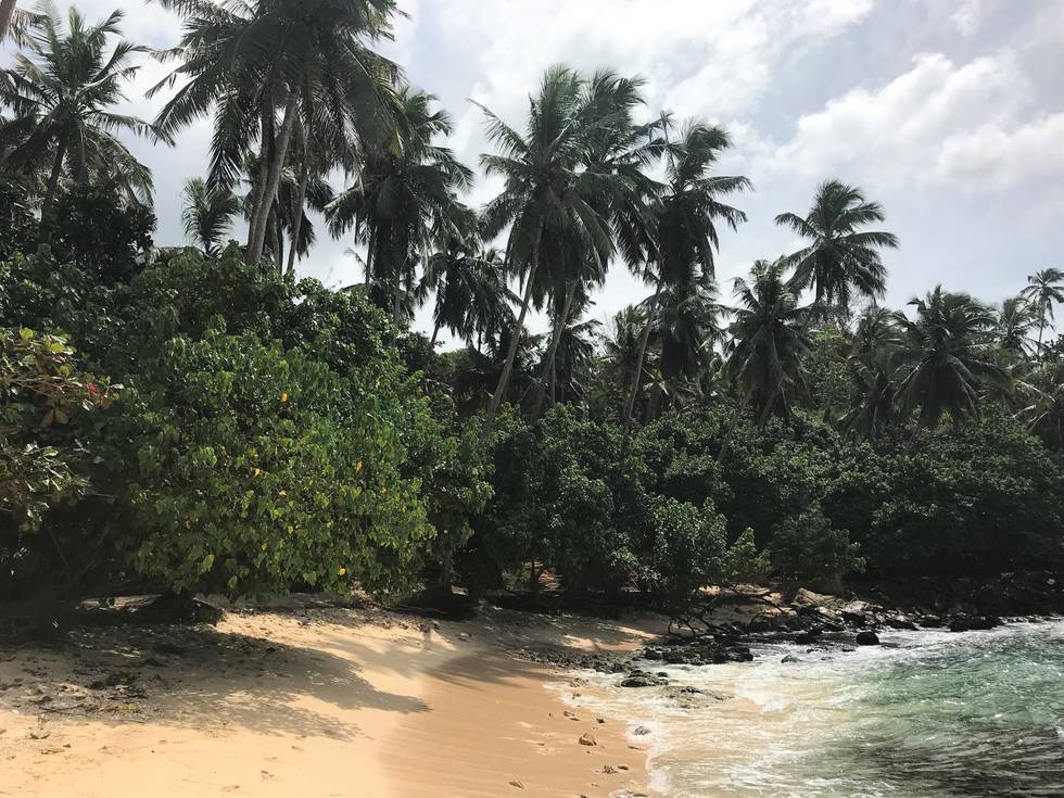 LB_LK_Mirissa_beach_(2)