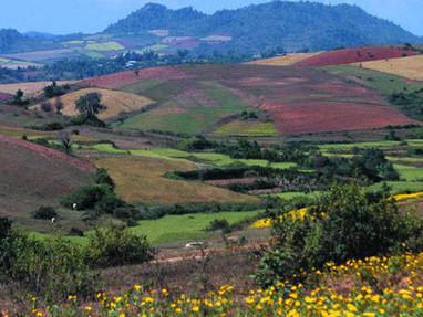 Myanmar | Shan regio | Kalaw