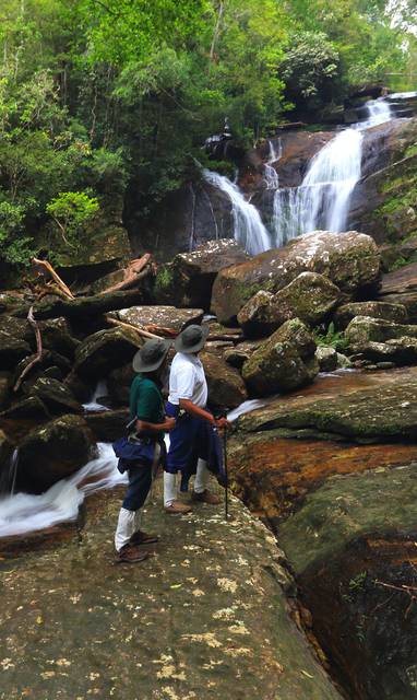 Sinharaja_Rainforest_CK8A0208_(2)