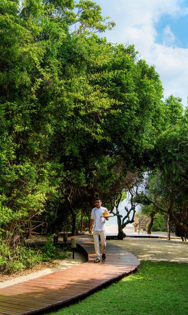 jungle_and_beach_(2)