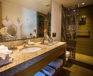 PE_delfin_cruise_3_amazone_badkamer_12._Delfin_III_-_Upper_Suite___Suite_Bathroom