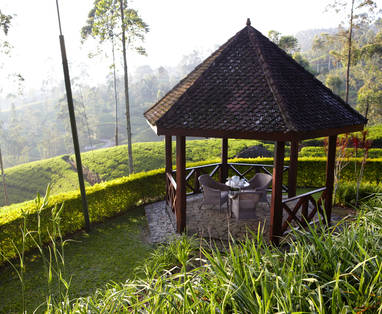 Tea_Trails_gardens_4