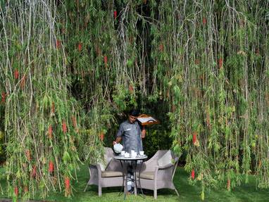 Tea_Trails_gardens_5_(2)