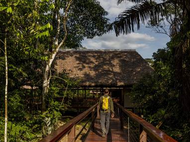 PE_Tambopata_Research_Center_paden_door_regenwoud_RAINFOREST-167