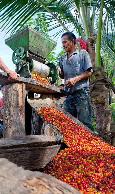 PE_pumarinri_amazon_lodge_plantage_bevolking_PUMARINRI-GALLERY-24