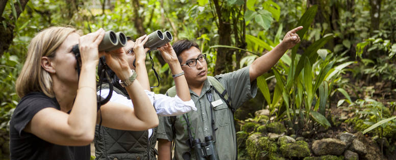 PE_Inkaterra_Machu_Picchu_Pueblo_Hotel_dieren_spotten_jungle_IMG_1006r