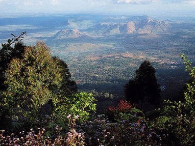 Malawi | Zomba Plateau | uitzicht