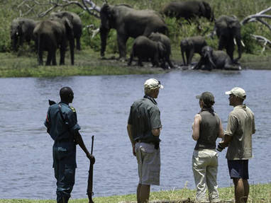 Autorondreis Malawi | Majete wildreservaat | wandelsafari