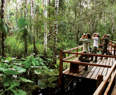 PE_Inkaterra_Reserva_Amazonica_loopbrug_omgevingITRA_Anaconda005