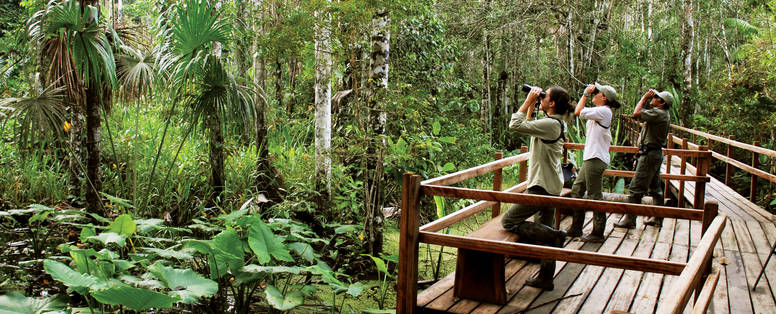 PE_Inkaterra_Reserva_Amazonica_loopbrug_omgevingITRA_Anaconda005