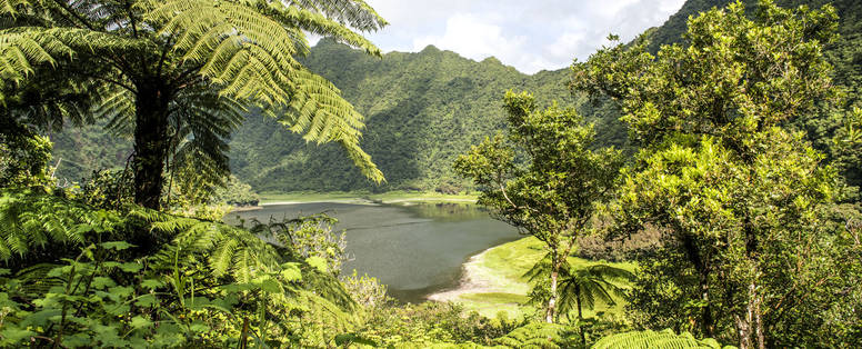 plaine_des_palmistes08_-_CREDIT_IRT_-_corine_tellier_dts_09_2022