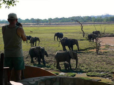 South Luangwa National Park | Kafunta River Lodge | wild