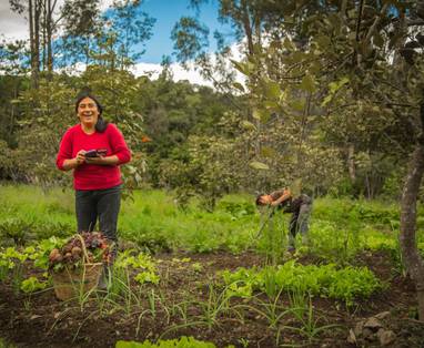 PE_Kentitambo_B_B_leymebamba_groententuin_Kentitambo-huerta-21-1030x687