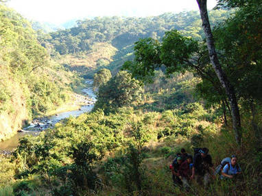 Rondreis Malawi | Viphya Plateau | trekking