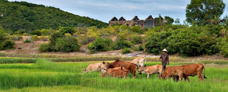 Zannier_Hotels_-_Bãi_San_Hô_20_-_Paddie_Fields___Ruins