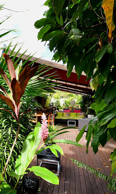 VUE_SENTIER_BOTANIQUE_VERS_RESTAURANT_DIMITILE