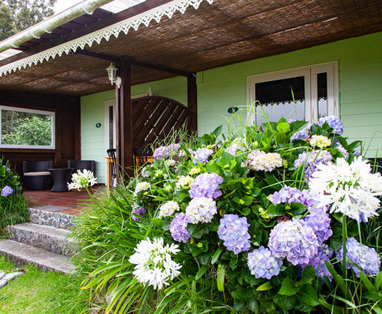 thumb_17513_etablissement_large