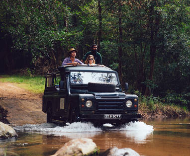 GAL_OYA_CAMPBELL_BREWER_IMG-516