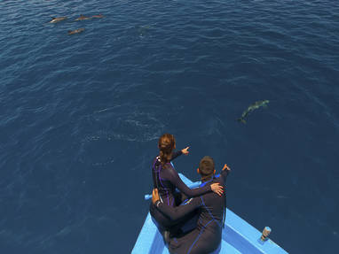 Aaaveee_MV_Dhaalu_atoll_sadsd