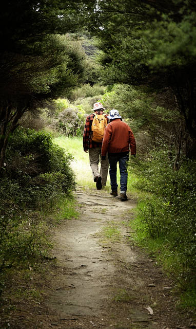 KINT_walking_high_res_credit_Janie_Walker