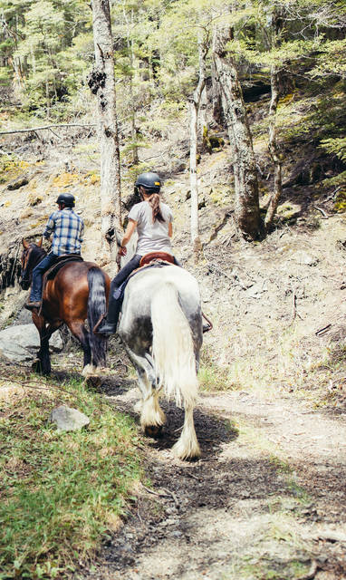 NZ_WANAKA_MajorDomo_MahuWhenua_Horse_Riding128HERO_7_Up_hill