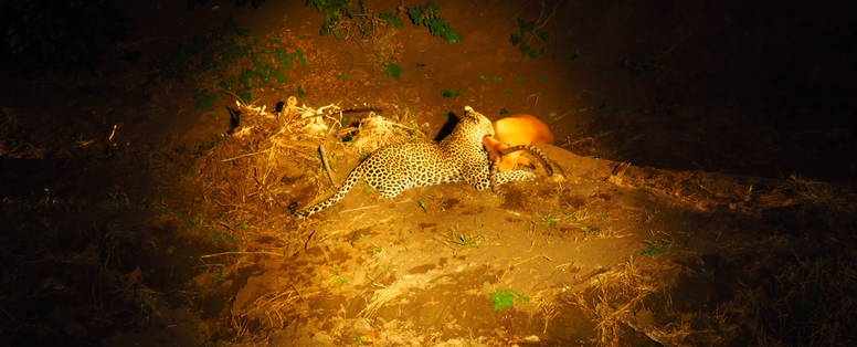 Remmert-Jesse-ZA-IMG_5812