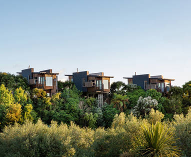 NZ_Kaikoura__B4A5336