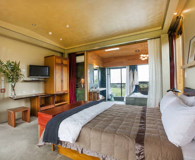 NZ_Kaikoura_201603-HapukuLodge-TreeHouse-0250