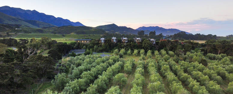 NZ_Kaikoura_Hapuku-Drone-0061