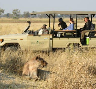 Afrika | Botswana rondreis | safari