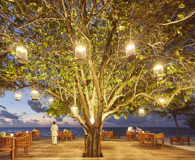 Hi_LSAA_81125791_LSAA_092016_Allegria_0165_v1