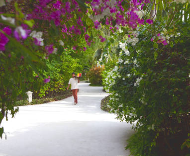 ©Baros_Maldives_Waiter___Lush_Vegetation_HR