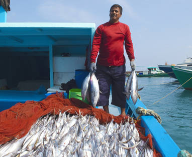 ©Baros_Maldives_Male_Fish_market_HR