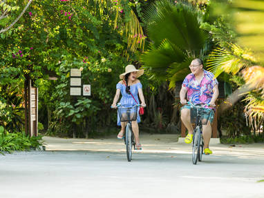 Lily_Beach_Bicycle